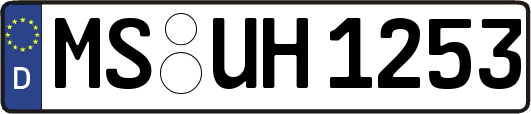 MS-UH1253