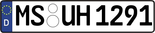 MS-UH1291