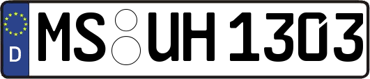 MS-UH1303