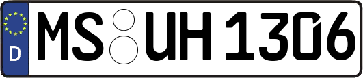 MS-UH1306