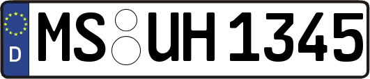 MS-UH1345