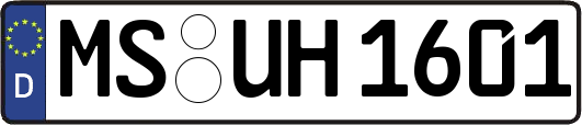 MS-UH1601