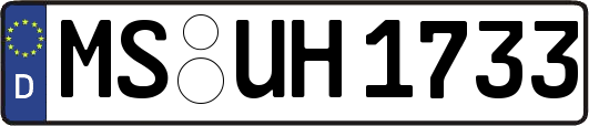 MS-UH1733