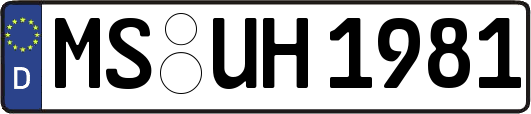 MS-UH1981