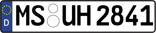 MS-UH2841