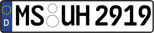 MS-UH2919