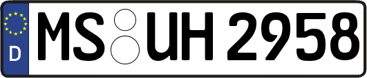 MS-UH2958