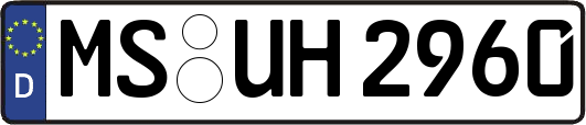 MS-UH2960