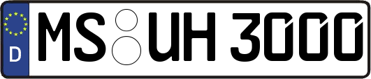 MS-UH3000