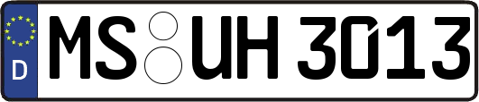 MS-UH3013