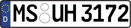 MS-UH3172