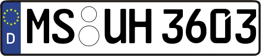 MS-UH3603