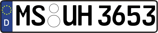 MS-UH3653