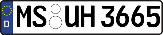 MS-UH3665