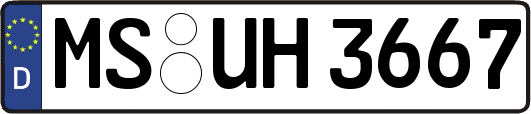 MS-UH3667