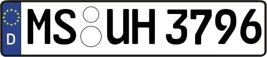 MS-UH3796