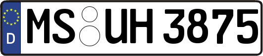 MS-UH3875