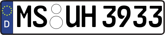 MS-UH3933