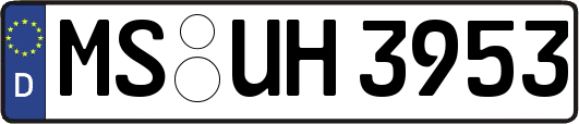 MS-UH3953
