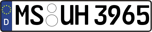 MS-UH3965