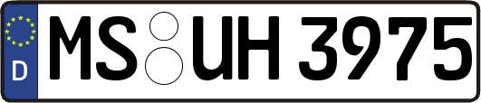 MS-UH3975