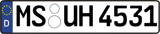 MS-UH4531