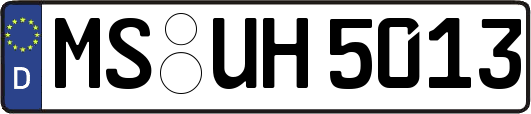 MS-UH5013