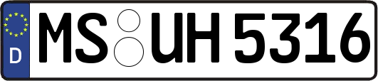 MS-UH5316