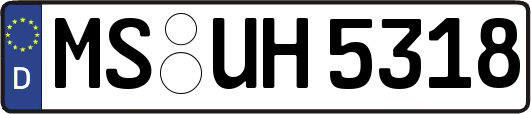 MS-UH5318