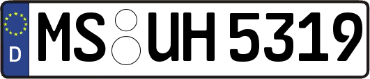 MS-UH5319