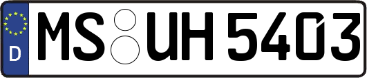MS-UH5403
