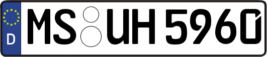 MS-UH5960