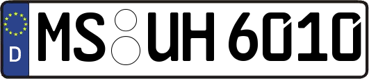 MS-UH6010