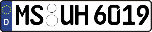 MS-UH6019