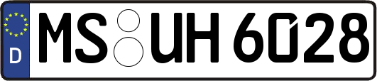 MS-UH6028