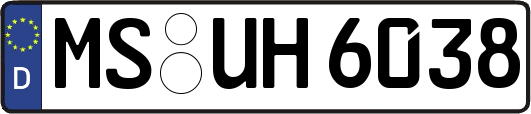 MS-UH6038