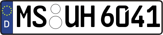 MS-UH6041