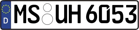 MS-UH6053