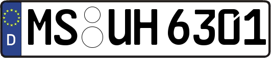 MS-UH6301