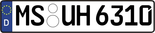 MS-UH6310