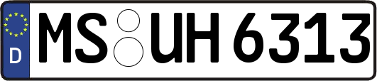 MS-UH6313