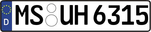 MS-UH6315