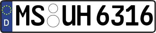 MS-UH6316