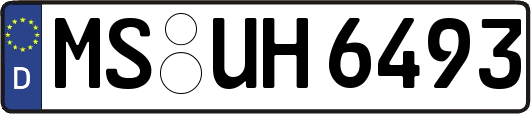 MS-UH6493