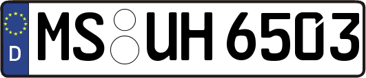 MS-UH6503