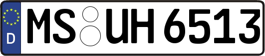 MS-UH6513