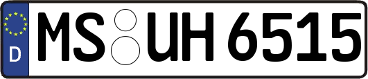 MS-UH6515