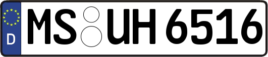MS-UH6516