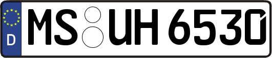 MS-UH6530