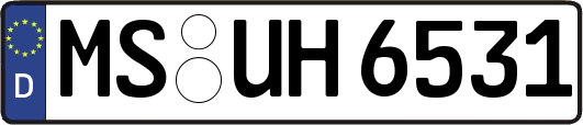 MS-UH6531